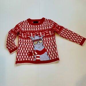 Blizzard Bay holiday sweater